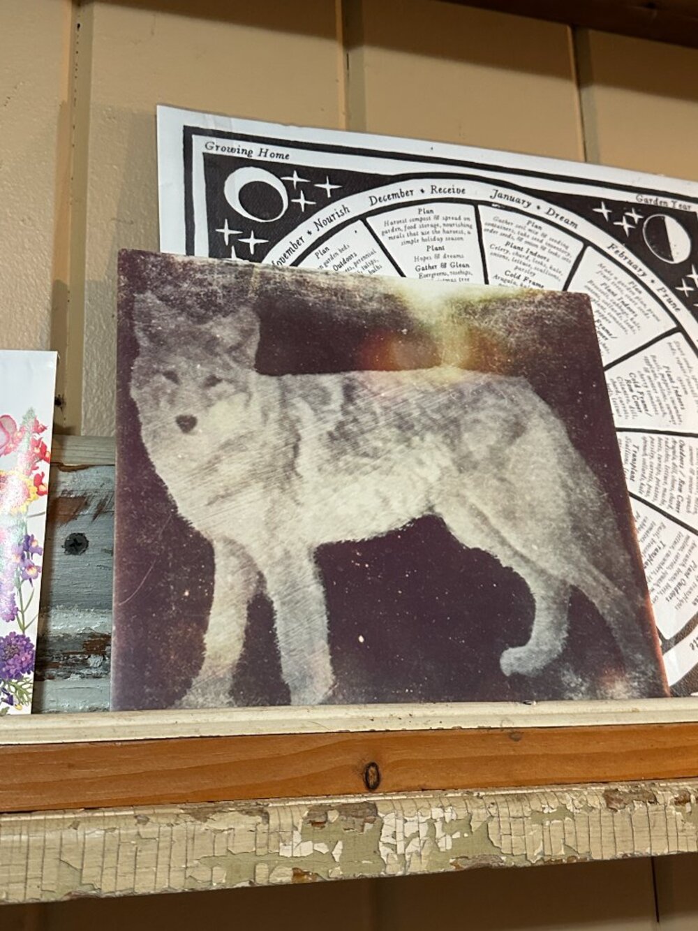 Original Mixed Media Coyote Fine Art Metal Print 9x9 Boho